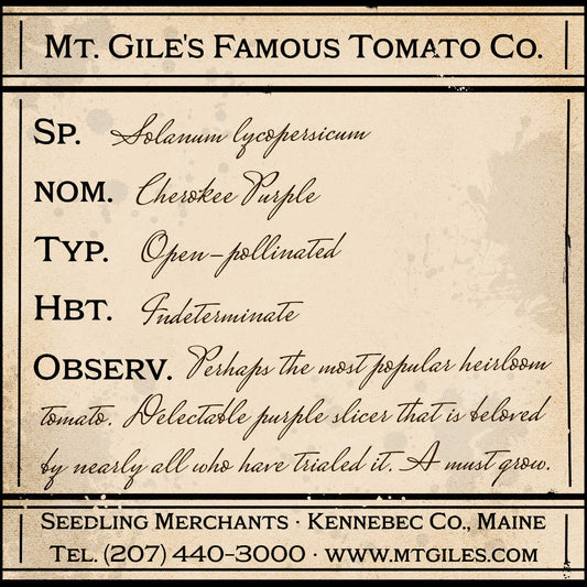 Depiction of a weathered vintage Mt. Gile's Famous Tomato Company specimen label with the following description: 

Cherokee Purple - Perhaps the most popular heirloom tomato. Delectable purple slicer that is beloved by nearly all who have trialed it. A must grow.