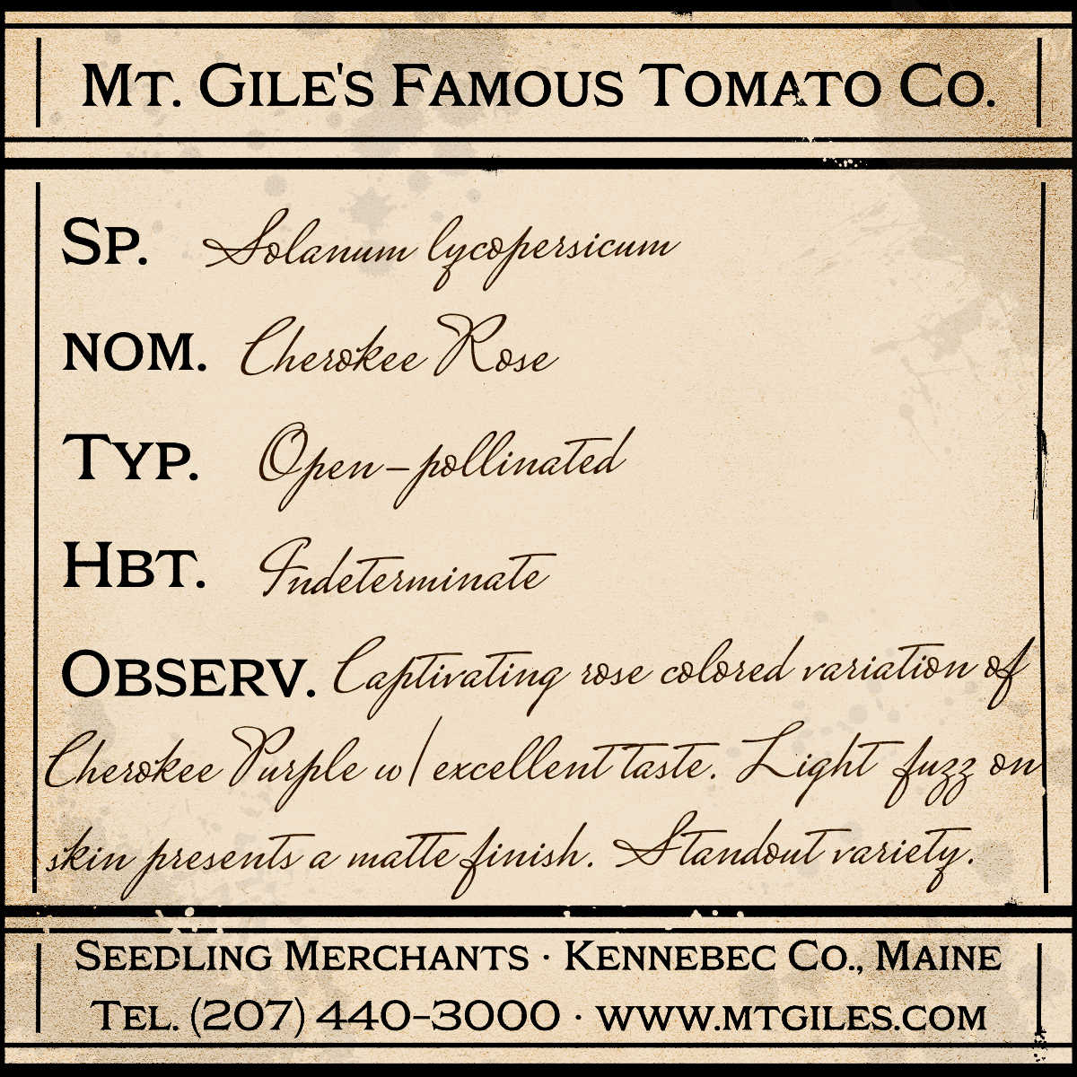 Depiction of a weathered vintage Mt. Gile's Famous Tomato Company specimen label with the following description: 

Cherokee Rose - Captivating rose colored variation of Cherokee Purple with excellent taste. Light fuzz on skin presents a matte finish. Standout variety.