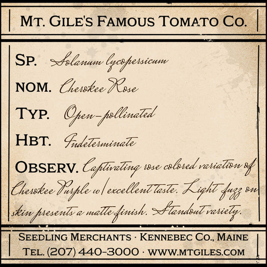 Depiction of a weathered vintage Mt. Gile's Famous Tomato Company specimen label with the following description: 

Cherokee Rose - Captivating rose colored variation of Cherokee Purple with excellent taste. Light fuzz on skin presents a matte finish. Standout variety.