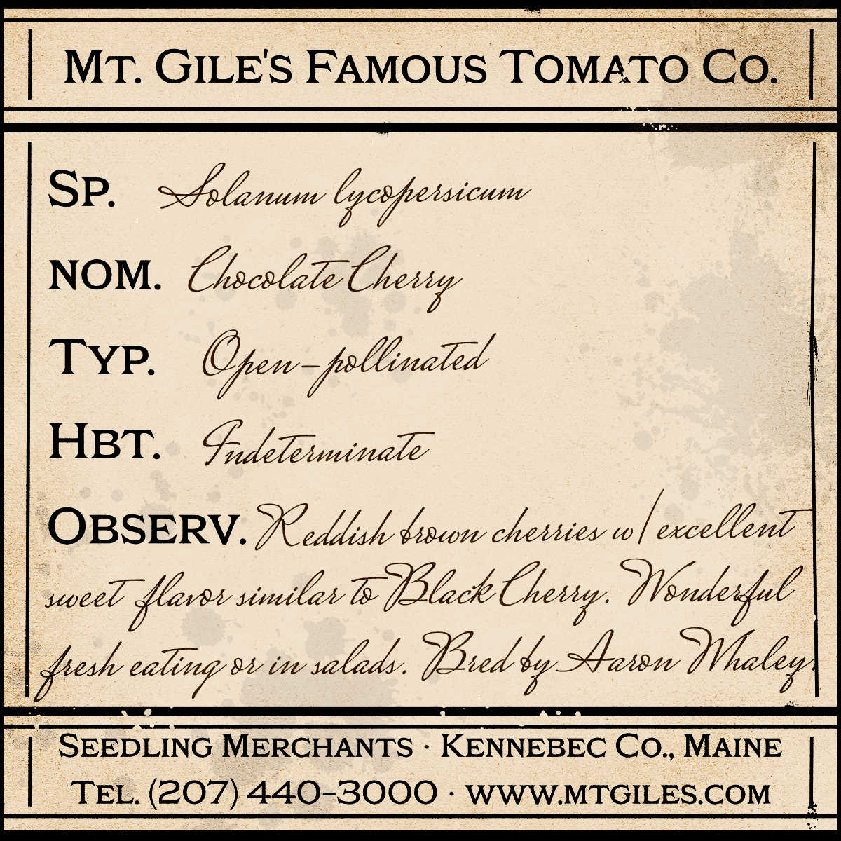 Depiction of a weathered vintage Mt. Gile's Famous Tomato Company specimen label with the following description: 

Chocolate Cherry - Reddish brown cherries with excellent sweet flavor similar to Black Cherry. Wonderful fresh eating or in salads. Bred by Aaron Whaley.