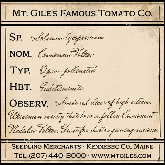Depiction of a weathered vintage Mt. Gile's Famous Tomato Company specimen label with the following description: 

Cosmonaut Volkov - Sweet red slicer of high esteem. Ukrainian variety that honors fallen Russian Cosmonaut Vladislav Volkov. Great for shorter growing seasons.