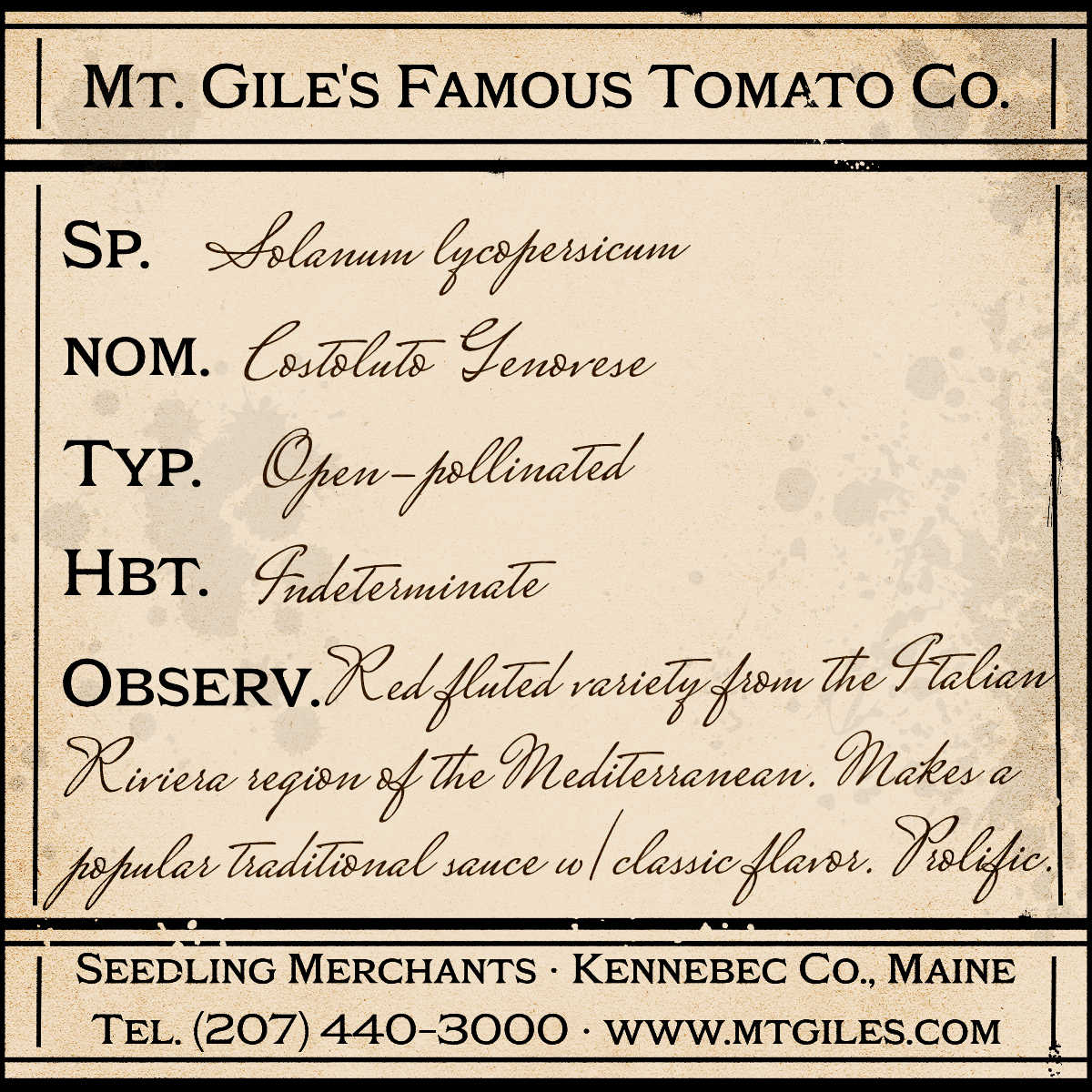 Depiction of a weathered vintage Mt. Gile's Famous Tomato Company specimen label with the following description: 

Costoluto Genovese - Red fluted variety from the Italian Riviera region of the Mediterranean. Makes a popular traditional sauce with classic flavor. Prolific.