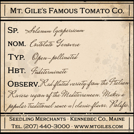 Depiction of a weathered vintage Mt. Gile's Famous Tomato Company specimen label with the following description: 

Costoluto Genovese - Red fluted variety from the Italian Riviera region of the Mediterranean. Makes a popular traditional sauce with classic flavor. Prolific.
