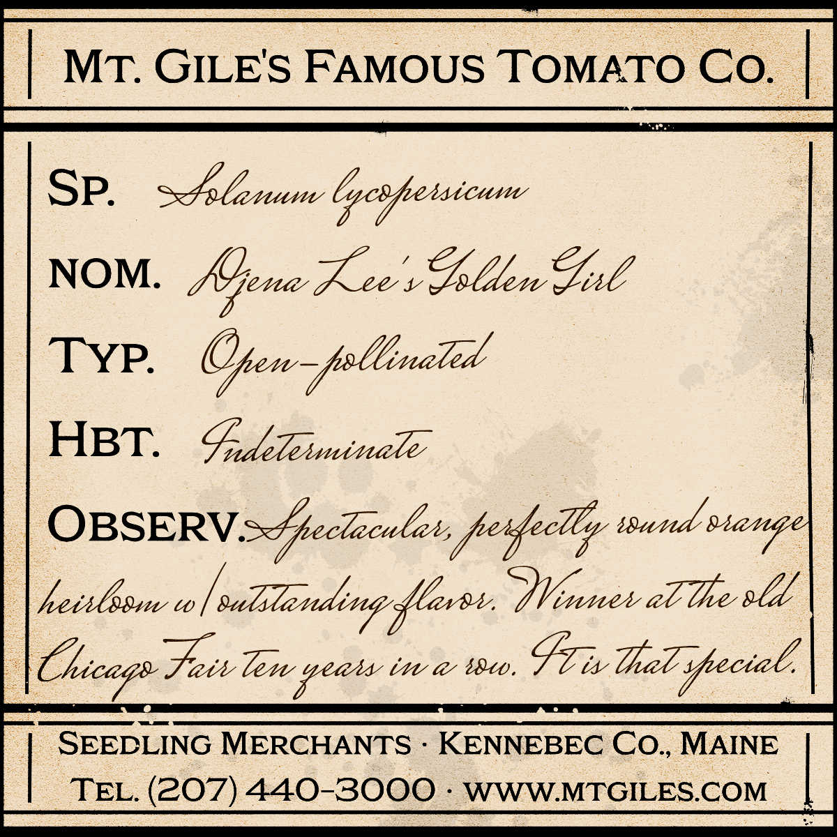 Depiction of a weathered vintage Mt. Gile's Famous Tomato Company specimen label with the following description: 

Djena Lee's Golden Girl - Spectacular, perfectly round orange heirloom with outstanding flavor. Winner at the old Chicago Fair ten years in a row. It is that special.