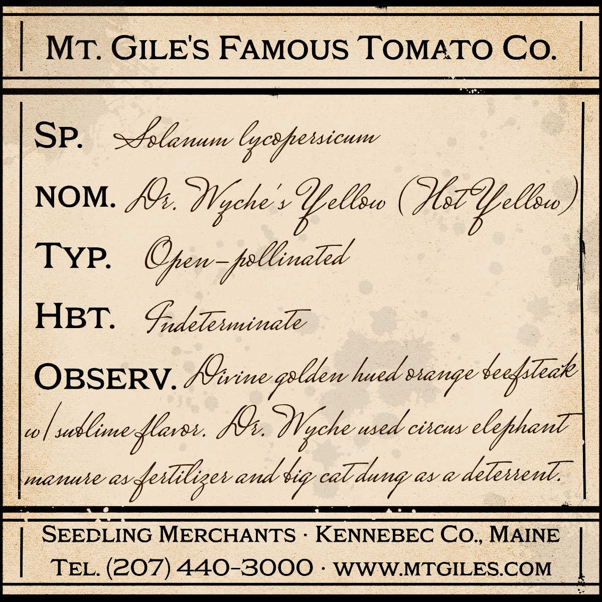 Depiction of a weathered vintage Mt. Gile's Famous Tomato Company specimen label with the following description: 

Dr. Wyche's Yellow - Divine golden hued orange beefsteak with sublime flavor. Dr. Wyche used circus elephant manure as fertilizer and big cat dung as a deterrent.