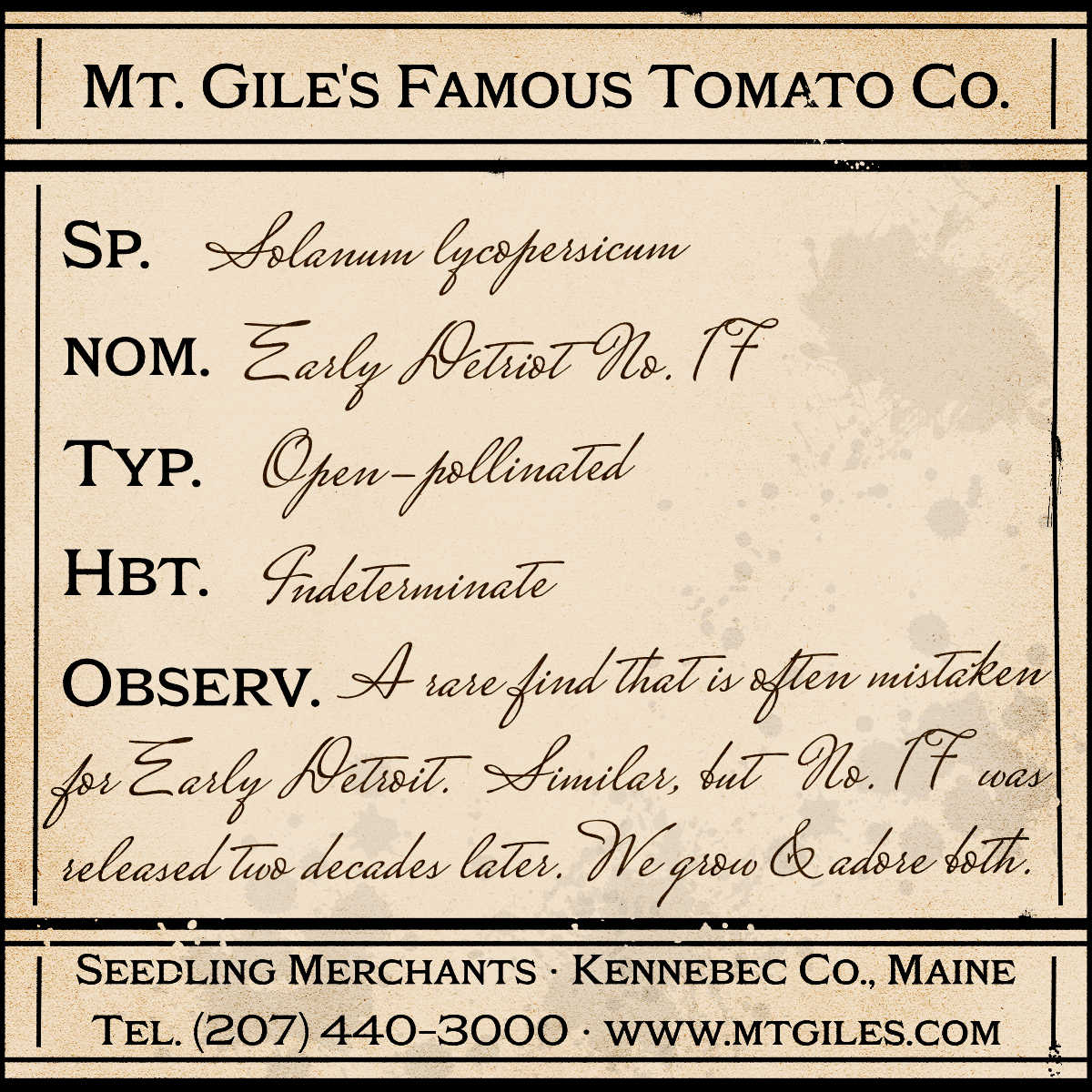 Depiction of a weathered vintage Mt. Gile's Famous Tomato Company specimen label with the following description: 

Early Detroit No. 17 - A rare find that is often mistaken for Early Detroit. Similar, but No. 17 was released two decades later. We grow and adore both.