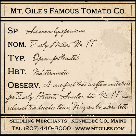 Depiction of a weathered vintage Mt. Gile's Famous Tomato Company specimen label with the following description: 

Early Detroit No. 17 - A rare find that is often mistaken for Early Detroit. Similar, but No. 17 was released two decades later. We grow and adore both.