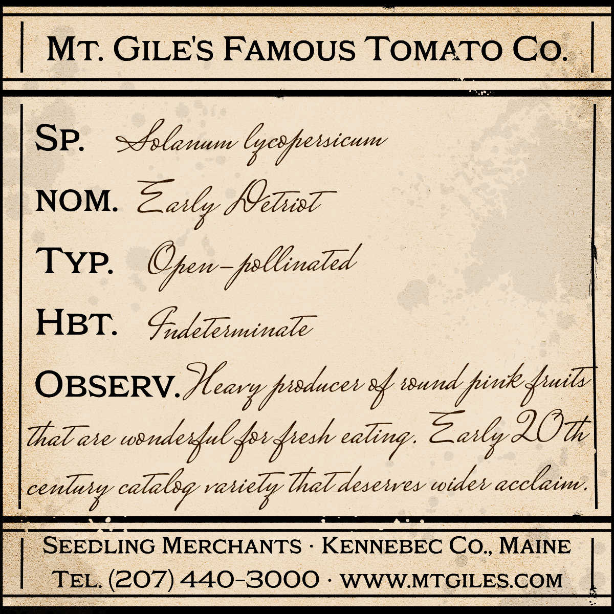 Depiction of a weathered vintage Mt. Gile's Famous Tomato Company specimen label with the following description: 

Early Detroit - Heavy producer of round pink fruits that are wonderful for fresh eating. Early 20th century catalog variety that deserves wider acclaim.