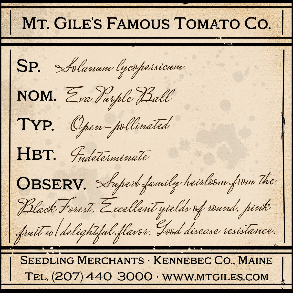 Depiction of a weathered vintage Mt. Gile's Famous Tomato Company specimen label with the following description: 

Eva Purple Ball - Superb family heirloom from the Black Forest. Excellent yields of round, pink fruit with delightful flavor. Good disease resistance.