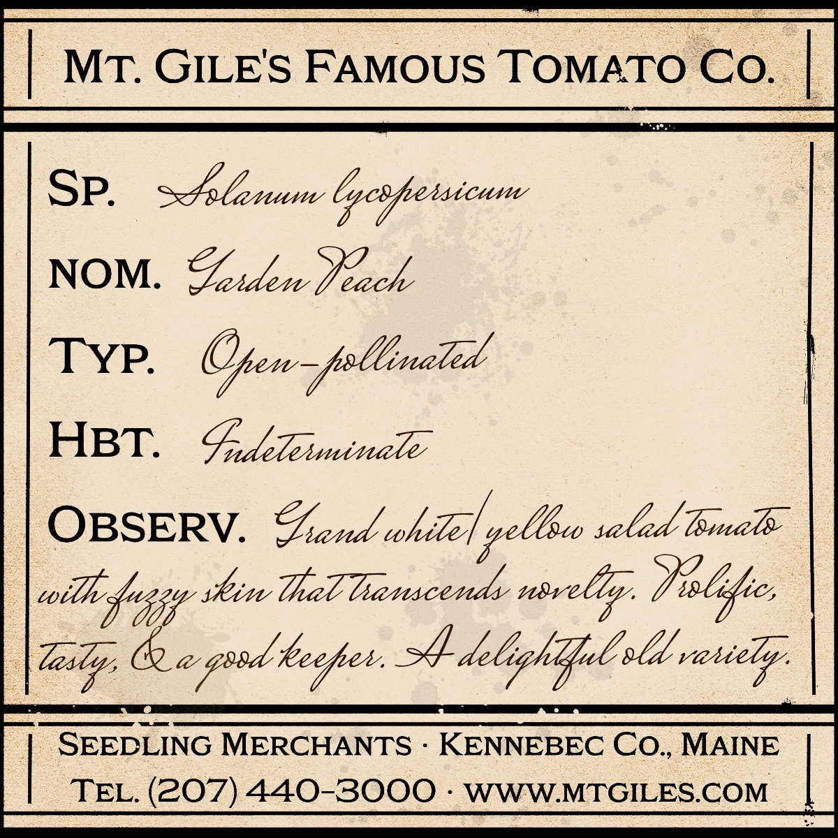 Garden Peach - Depiction of a weathered vintage Mt. Gile's Famous Tomato Company specimen label with the following description: 

Grand white/yellow salad tomato with fuzzy skin that transcends novelty. Prolific, tasty, and a good keeper. A delightful old variety.
