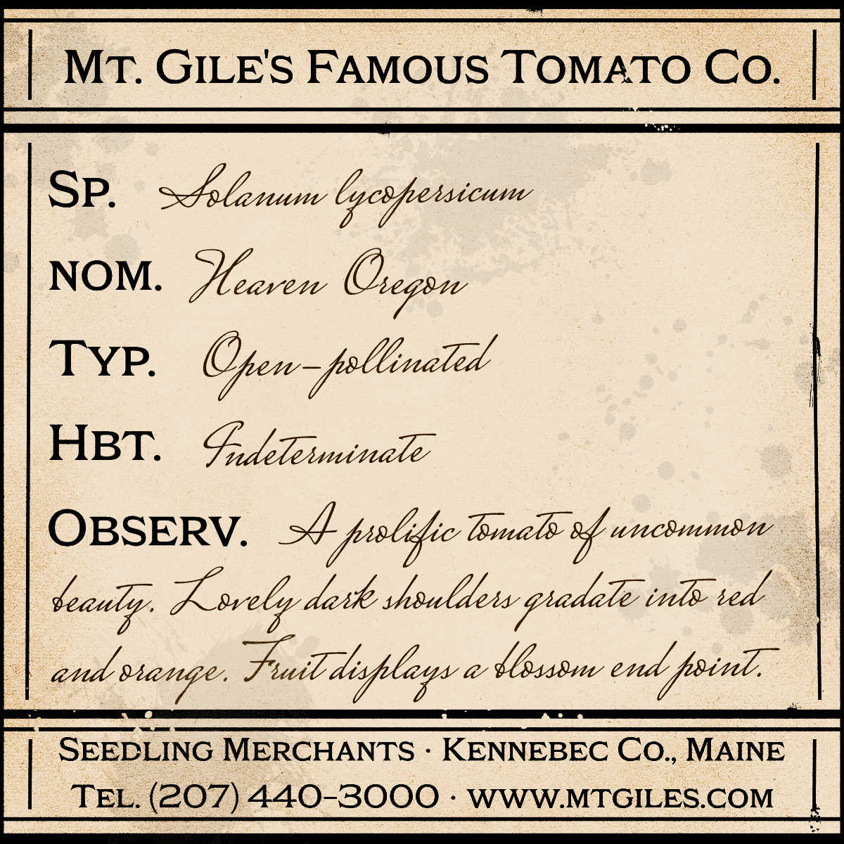 Depiction of a weathered vintage Mt. Gile's Famous Tomato Company specimen label with the following description: 

Heaven Oregon - A prolific tomato of uncommon beauty. Lovely dark shoulders gradate into red and orange. Fruit displays a blossom end point.