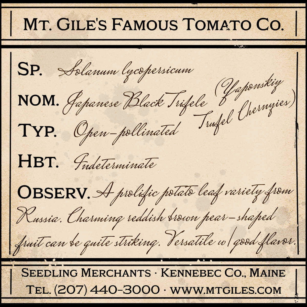 Depiction of a weathered vintage Mt. Gile's Famous Tomato Company specimen label with the following description: 

Japanese Black Trifele - A prolific potato leaf variety from Russia. Charming reddish brown pear-shaped fruit can be quite striking. Versatile with good flavor.