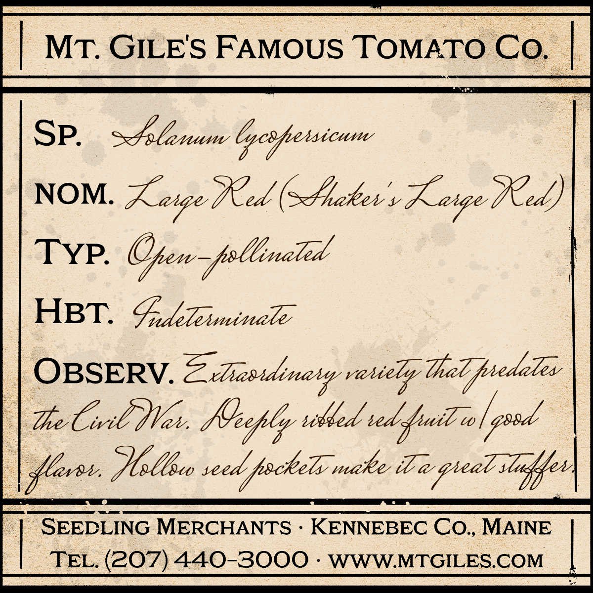 Depiction of a weathered vintage Mt. Gile's Famous Tomato Company specimen label with the following description: 

Large Red - Extraordinary variety that predates the Civil War. Deeply ribbed red fruit with good flavor. Hollow seed pockets make it a great stuffer.