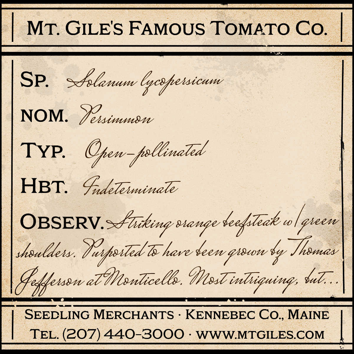 Depiction of a weathered vintage Mt. Gile's Famous Tomato Company specimen label with the following description: 

Persimmon - Striking orange beefsteak with green shoulders. Purported to have been grown by Thomas Jefferson at Monticello. Most intriguing, but...