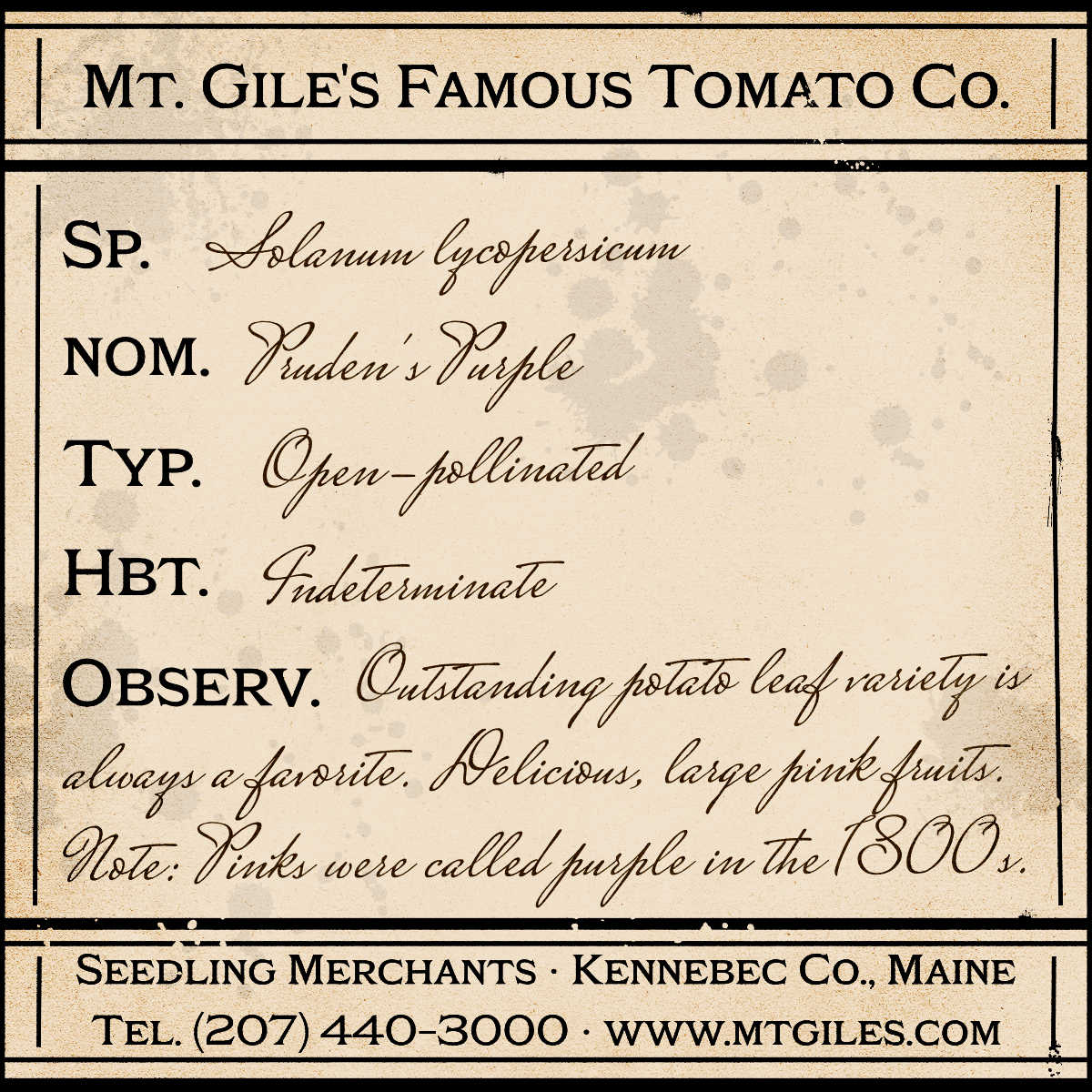 Depiction of a weathered vintage Mt. Gile's Famous Tomato Company specimen label with the following description: 

Pruden's Purple - Outstanding potato leaf variety is always a favorite. Delicious, large pink fruits. Note: Pinks were called purple in the 1800s.