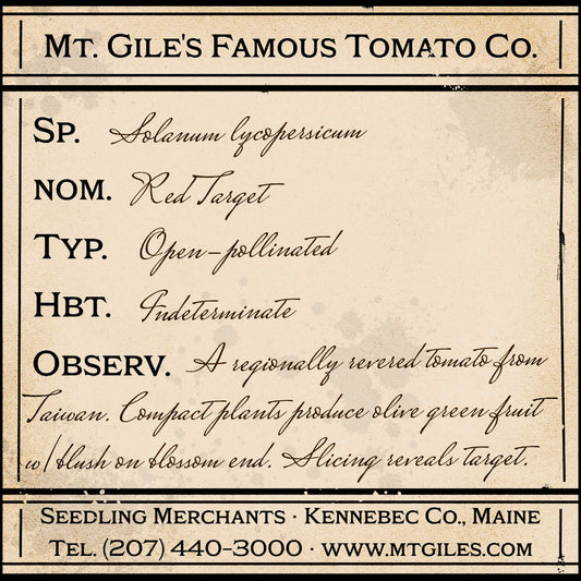 Depiction of a weathered vintage Mt. Gile's Famous Tomato Company specimen label with the following description: 

Red Target - A regionally revered tomato from Taiwan. Compact plants produce olive green fruit with blush on blossom end. Slicing reveals target.