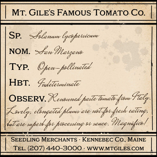 Depiction of a weathered vintage Mt. Gile's Famous Tomato Company specimen label with the following description: 

San Marzano - Renowned paste tomato from Italy. Lovely, elongated plums are not for fresh eating, but are superb for processing or sauce. Magnifico!