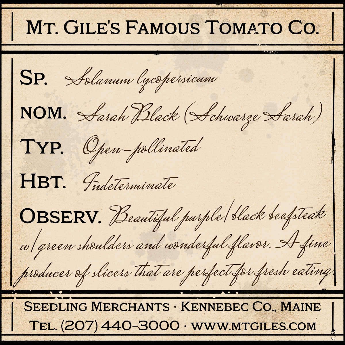 Depiction of a weathered vintage Mt. Gile's Famous Tomato Company specimen label with the following description: 

Sarah Black - Beautiful purple/black beefsteak with green shoulders and wonderful flavor. A fine producer of slicers that are perfect for fresh eating.