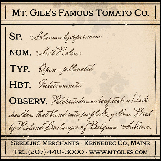 Depiction of a weathered vintage Mt. Gile's Famous Tomato Company specimen label with the following description: 

Sart Roloise - Pulchritudinous beefsteak with dark shoulders that blend into purple &amp; yellow. Bred by Roland Boulanger of Belgium. Sublime.