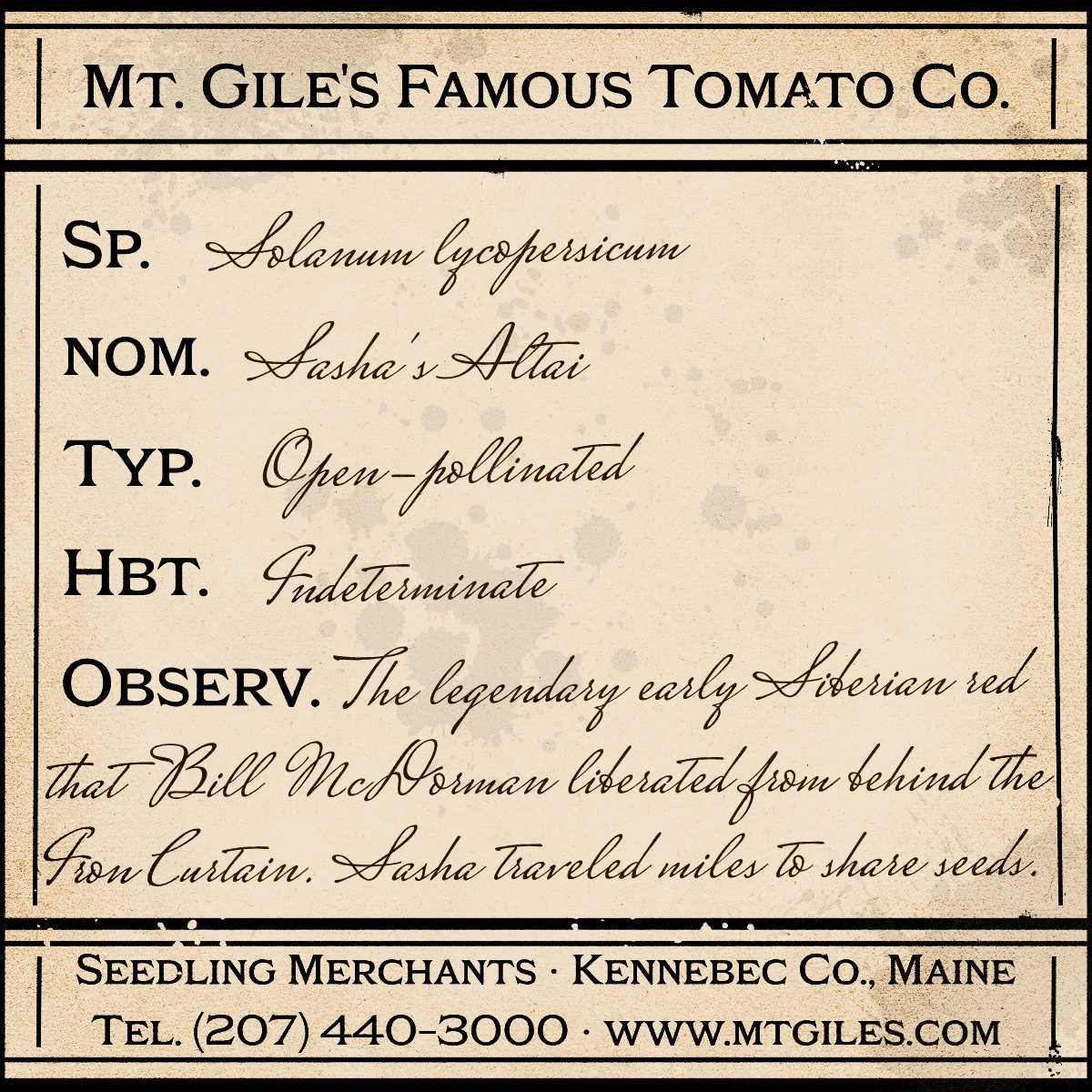 Depiction of a weathered vintage Mt. Gile's Famous Tomato Company specimen label with the following description: 

Sasha's Altai - The legendary early Siberian red that Bill McDorman liberated from behind the Iron Curtain. Sasha traveled miles to share seeds.