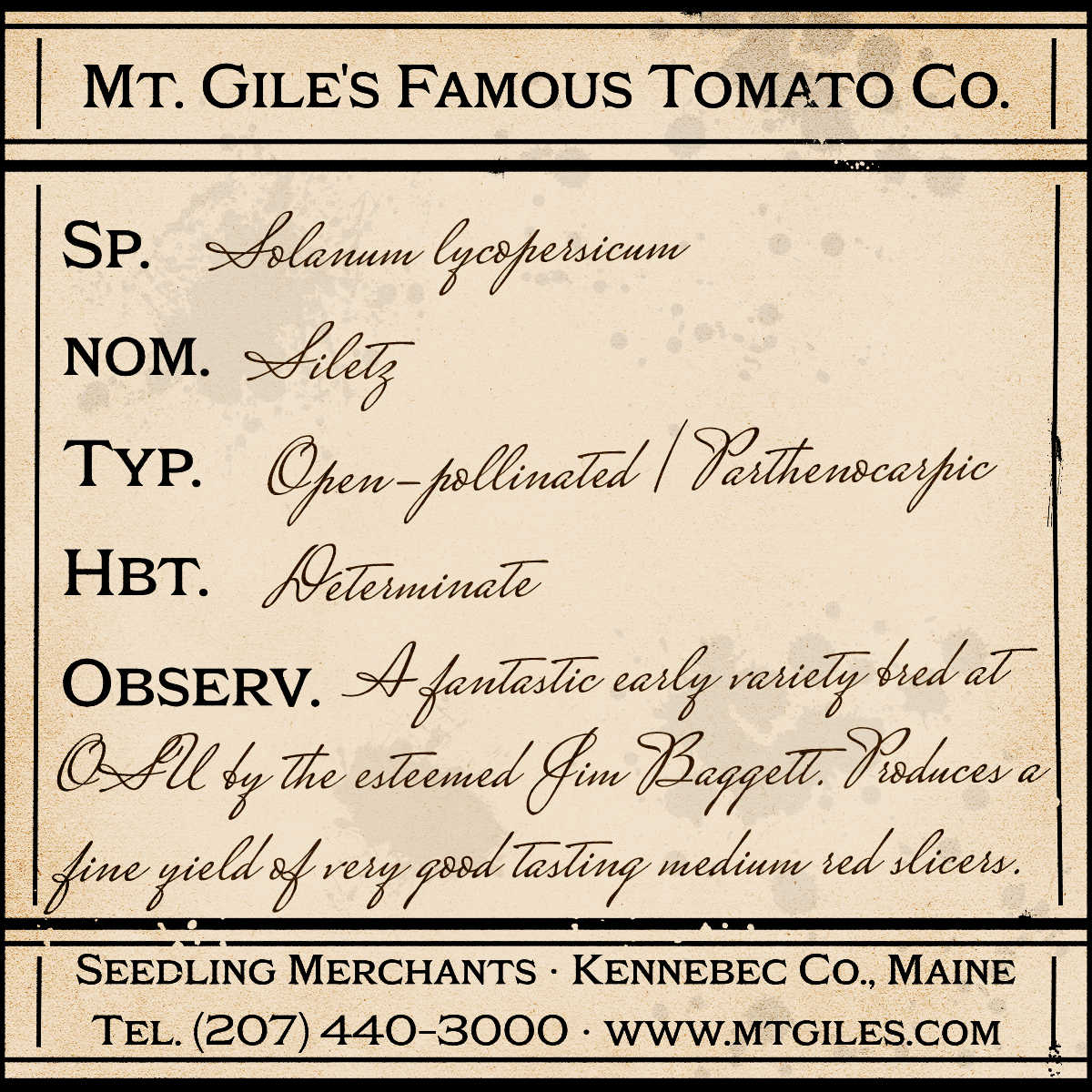 Depiction of a weathered vintage Mt. Gile's Famous Tomato Company specimen label with the following description: 

Siltz - A fantastic early variety bred at Oregon State University by the esteemed Jim Baggett. Produces a fine yield of very good tasting medium red slicers.