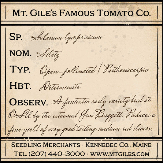 Depiction of a weathered vintage Mt. Gile's Famous Tomato Company specimen label with the following description: 

Siltz - A fantastic early variety bred at Oregon State University by the esteemed Jim Baggett. Produces a fine yield of very good tasting medium red slicers.