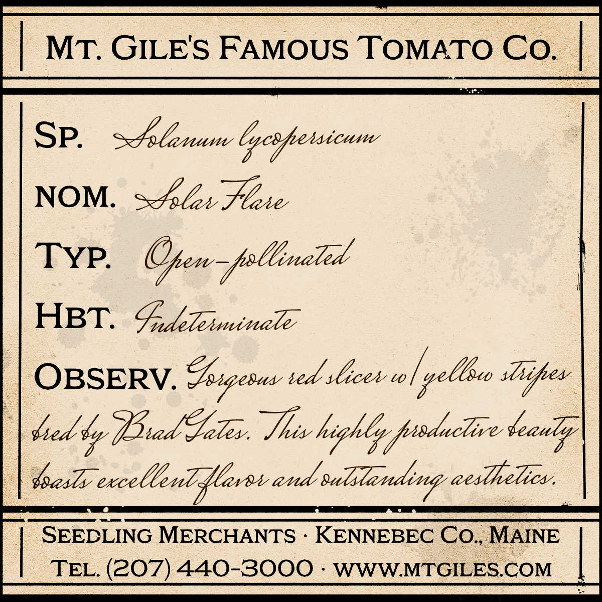 Depiction of a weathered vintage Mt. Gile's Famous Tomato Company specimen label with the following description: 

Solar Flare - Gorgeous red slicer with yellow stripes bred by Brad Gates. This highly productive beauty boasts excellent flavor and outstanding aesthetics.