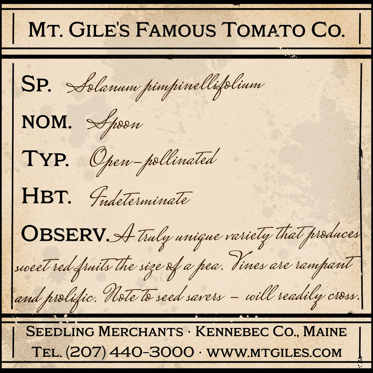 Depiction of a weathered vintage Mt. Gile's Famous Tomato Company specimen label with the following description: 

Spoon - A truly unique variety that produces sweet red fruits the size of a pea. Vines are rampant and prolific. Note to seed savers - will readily cross.