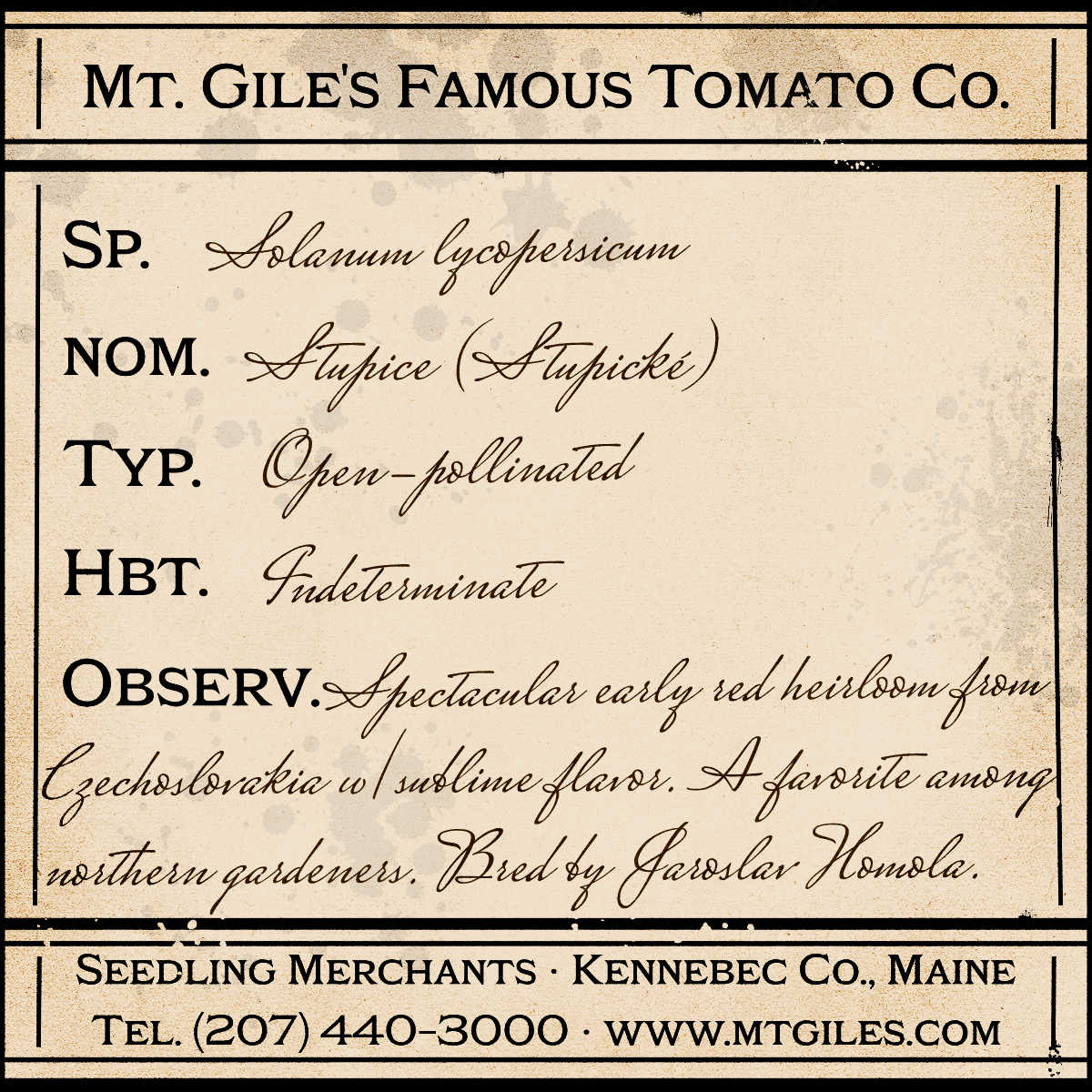 Depiction of a weathered vintage Mt. Gile's Famous Tomato Company specimen label with the following description: 

Stupice - Spectacular early red heirloom from Czechoslovakia with sublime flavor. A favorite among northern gardeners. Bred by Jaroslav Homola.