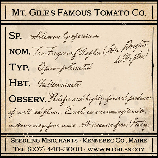 Depiction of a weathered vintage Mt. Gile's Famous Tomato Company specimen label with the following description: 

Ten Fingers of Naples - Prolific and highly favored producer of sweet red plums. Excels as a canning tomato, makes a very fine sauce. A treasure from Italy.