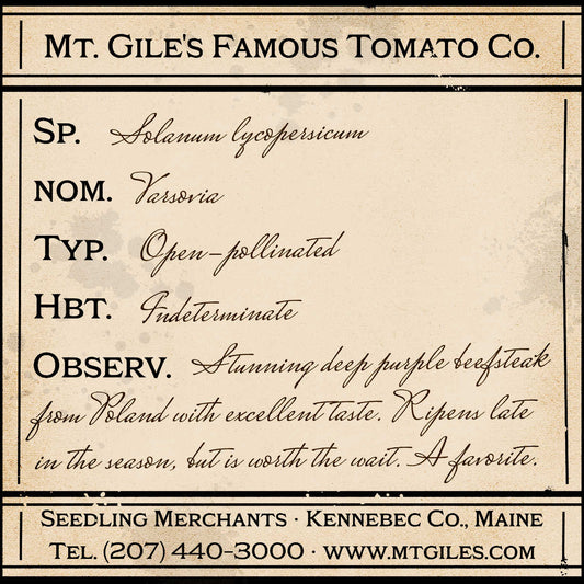 Depiction of a weathered vintage Mt. Gile's Famous Tomato Company specimen label with the following description: 

Varsovia - Stunning deep purple beefsteak from Poland with excellent taste. Ripens late in the season, but is worth the wait. A favorite.