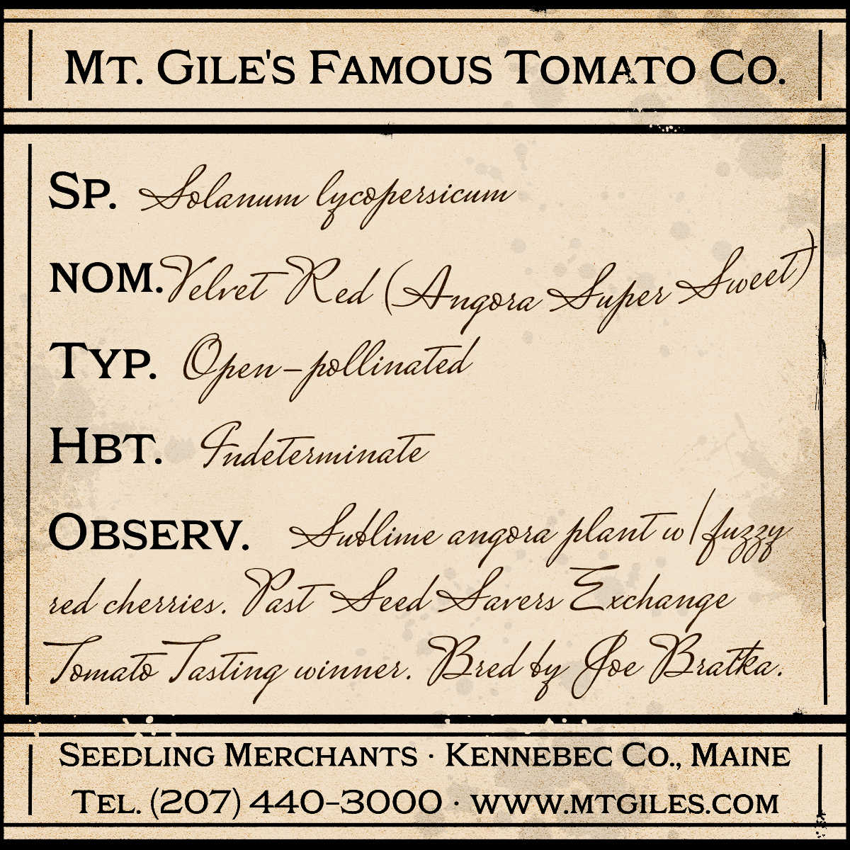 Depiction of a weathered vintage Mt. Gile's Famous Tomato Company specimen label with the following description: 

Velvet Red - Sublime angora plant with fuzzy red cherries. Past Seed Savers Exchange Tomato Tasting winner. Bred by Joe Bratka.