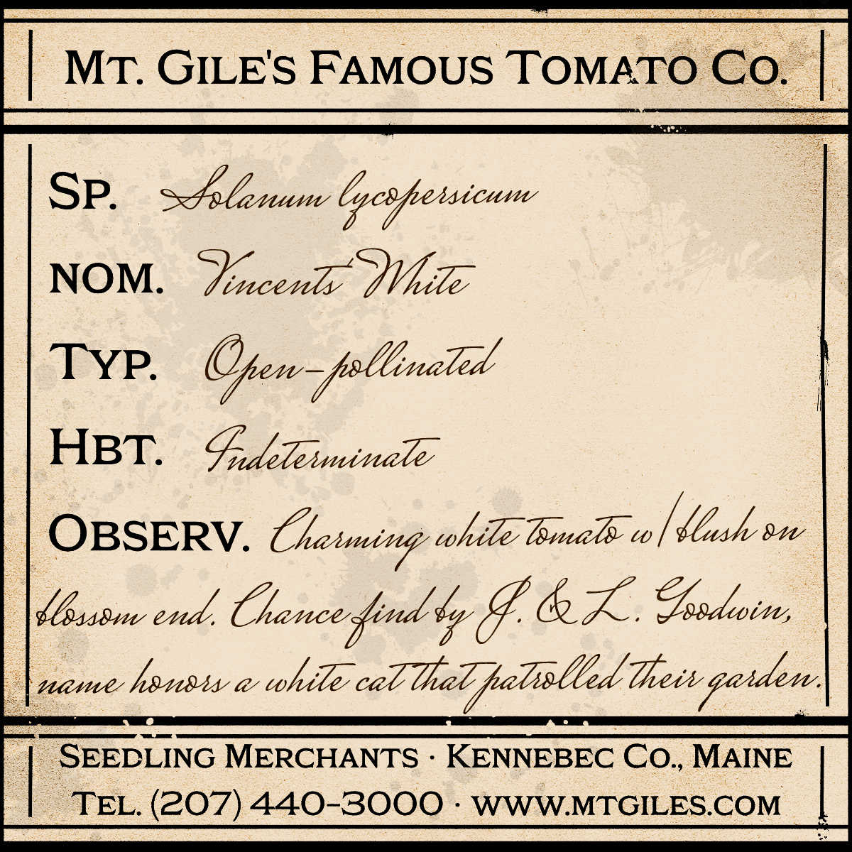 Depiction of a weathered vintage Mt. Gile's Famous Tomato Company specimen label with the following description: 

Vincent's White - Charming white tomato with blush on blossom end. Chance find by Jan & Lee Goodwin, name honors a white cat that patrolled their garden.