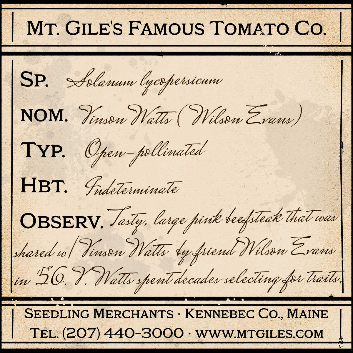 Depiction of a weathered vintage Mt. Gile's Famous Tomato Company specimen label with the following description:

Vinson Watts - Tasty, large pink beefsteak that was shared with Vinson Watts by friend Wilson Evans in 1956. Vinson Watts spent decades selecting for traits.