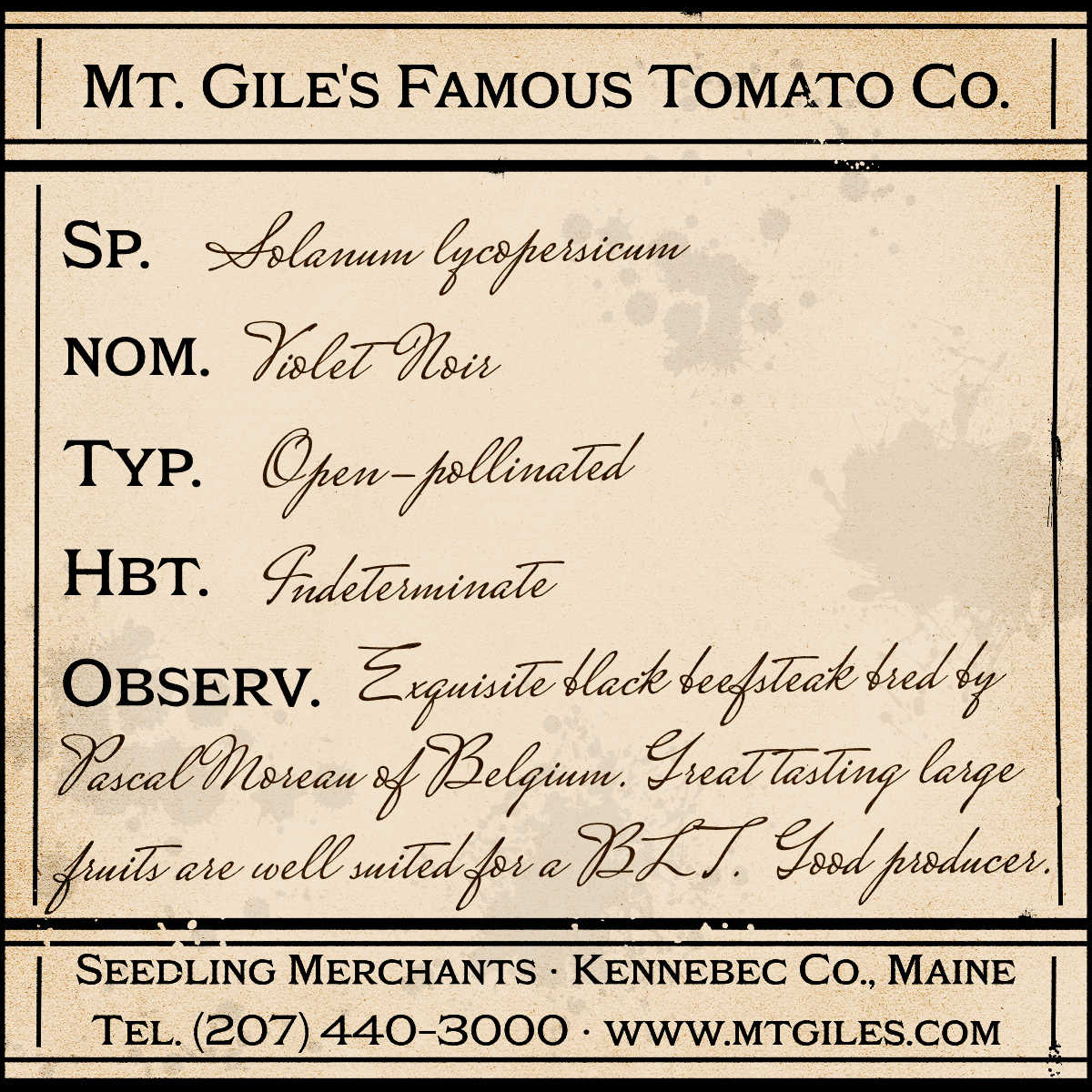 Depiction of a weathered vintage Mt. Gile's Famous Tomato Company specimen label with the following description: 

Violet Noir - Exquisite black beefsteak bred by Pascal Moreau of Belgium. Great tasting large fruits are well suited for a BLT. Good producer.