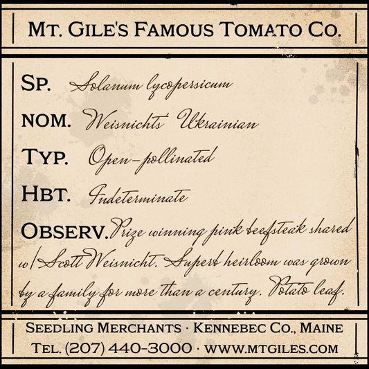 Depiction of a weathered vintage Mt. Gile's Famous Tomato Company specimen label with the following description: 

Weisnicht's Ukrainian - Prize winning pink beefsteak shared with Scott Weisnicht. Superb heirloom was grown by a family for more than a century. Potato leaf.