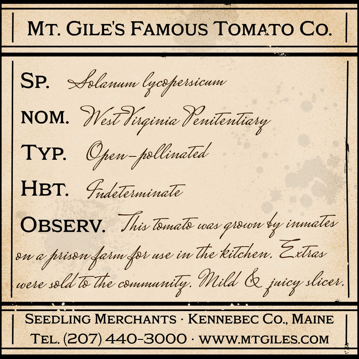 Depiction of a weathered vintage Mt. Gile's Famous Tomato Company specimen label with the following description: 

West Virginia Penitentiary - This tomato was grown by inmates on a prison farm for use in the kitchen. Extras were sold to the community. Mild and juicy slicer.