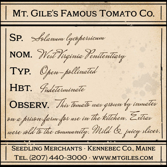 Depiction of a weathered vintage Mt. Gile's Famous Tomato Company specimen label with the following description: 

West Virginia Penitentiary - This tomato was grown by inmates on a prison farm for use in the kitchen. Extras were sold to the community. Mild and juicy slicer.