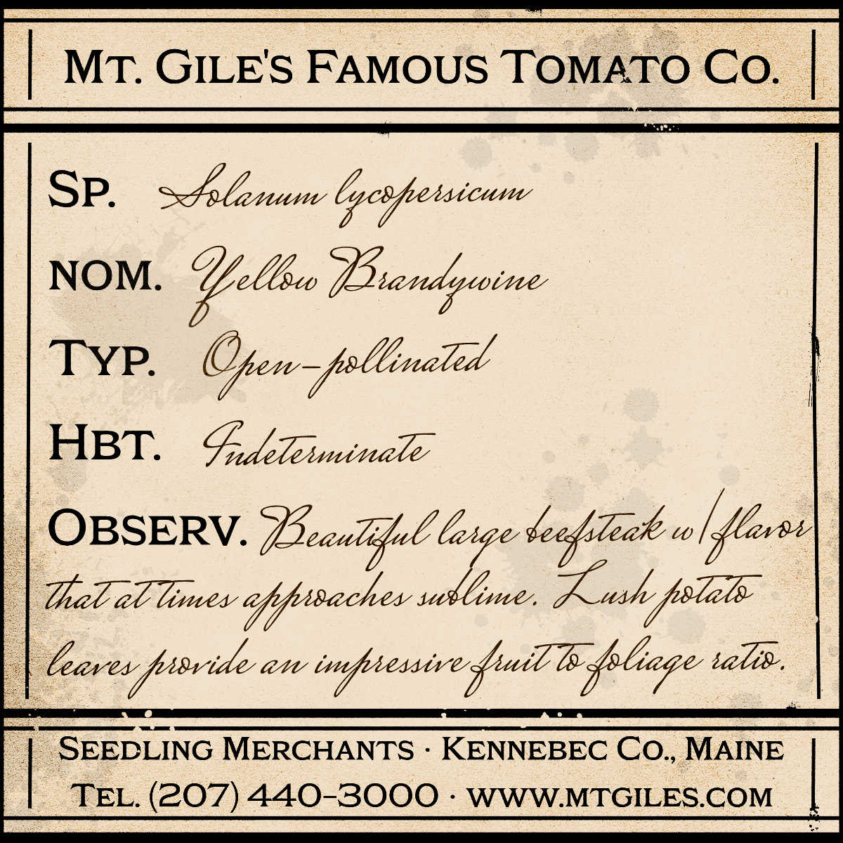 Depiction of a weathered vintage Mt. Gile's Famous Tomato Company specimen label with the following description: 

Yellow Brandywine - Beautiful large beefsteak with flavor that at times approaches sublime. Lush potato leaves provide an impressive fruit to foliage ratio.